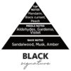 Αρωματικό Αυτοκινήτου Spray Feral Basics Collection Black Signature 70ml 1 Τεμάχιο - Image 3