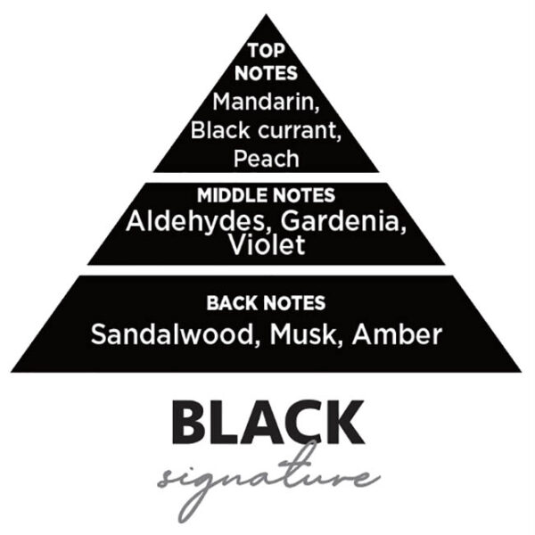 Αρωματικό Αυτοκινήτου Spray Feral Basics Collection Black Signature 70ml 1 Τεμάχιο - Image 3